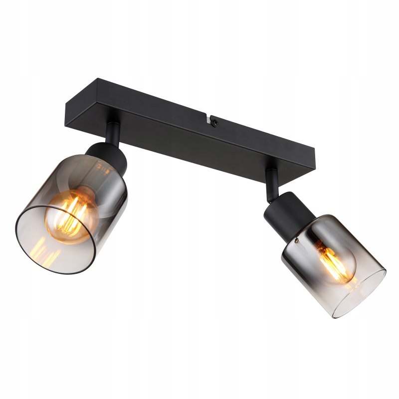 Lampa spot reflektor Hubertus 54308-2 Globo