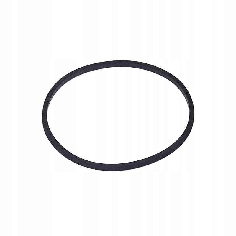 USZCZELKA KOMORY PŁYWAKOWEJ BRIGGS&STRATTON