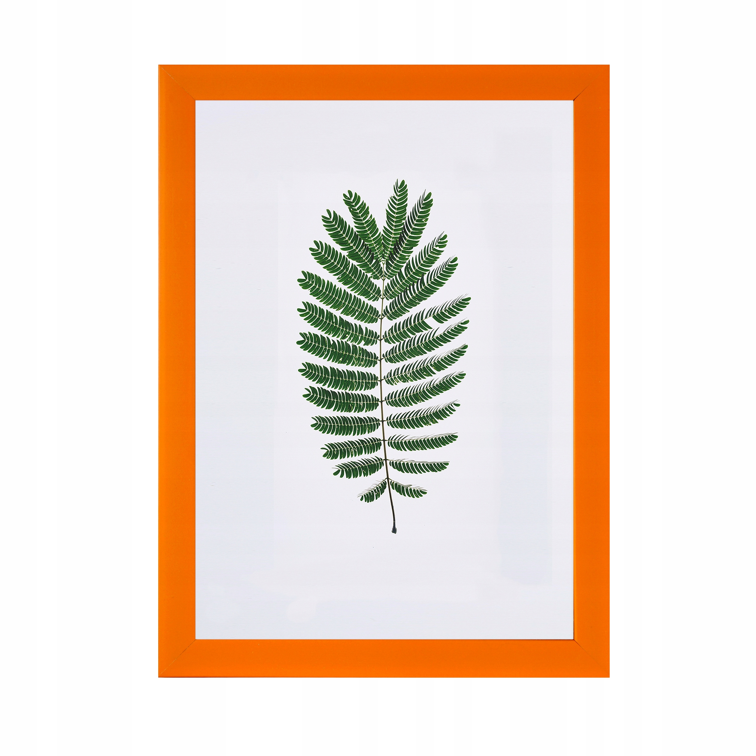 

Ramki na zdjęcia 9x13 Ramka kolor pomarańczow