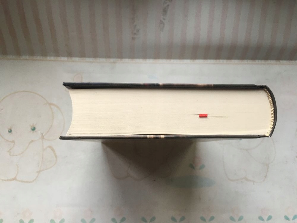 Niszczyciel królestw Aveyard Victoria Rok wydania 2021