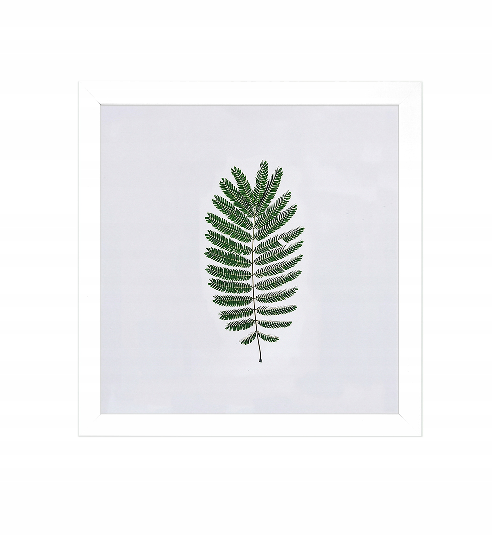 

Ramka 40x40 Biała