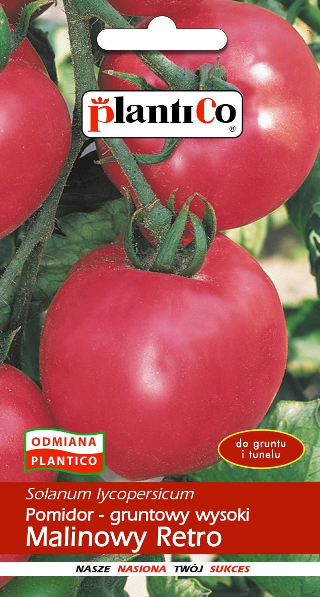 Pomidor Malinowy RETRO nasiona 0,5 g.