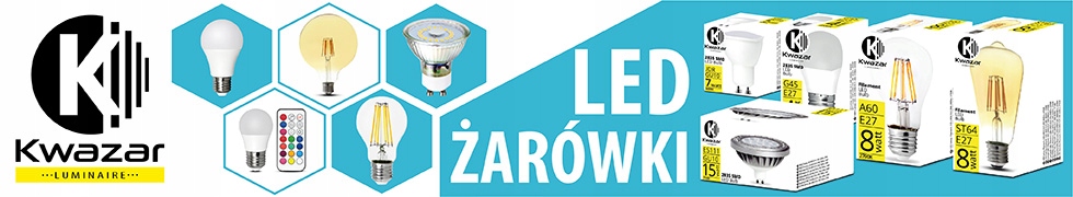 Żarówka LED E27 Filament mocna 12W Edison G80 BAŃKA 8cm Rodzaj LED