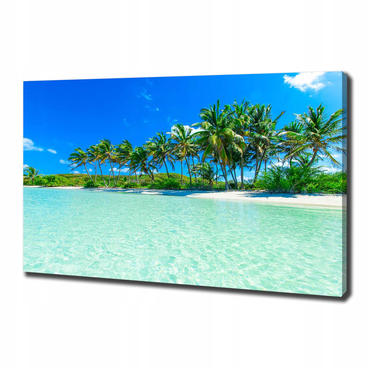 

Foto obraz na płótnie Tropikalna plaża 100x70 cm