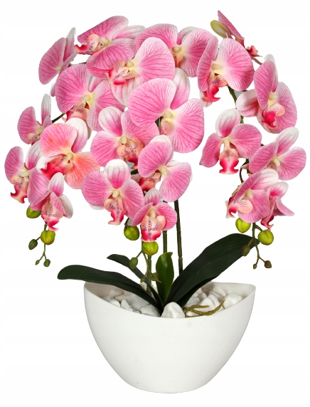 

Storczyk Sztuczny Orchidea Kwiaty Silikonowy