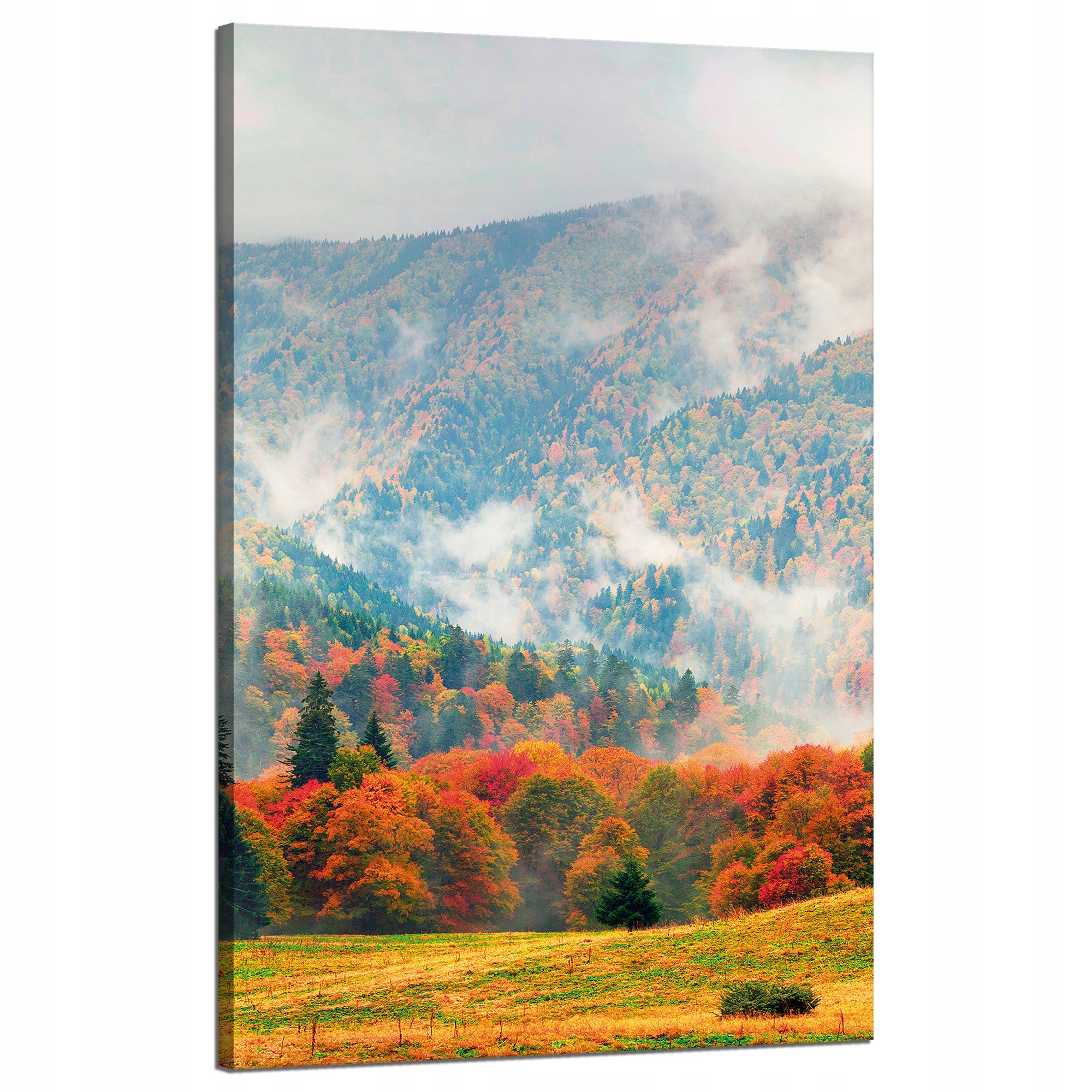 Obraz na plátně Hora Lesy Louky Mraky Příroda 50x80 cm