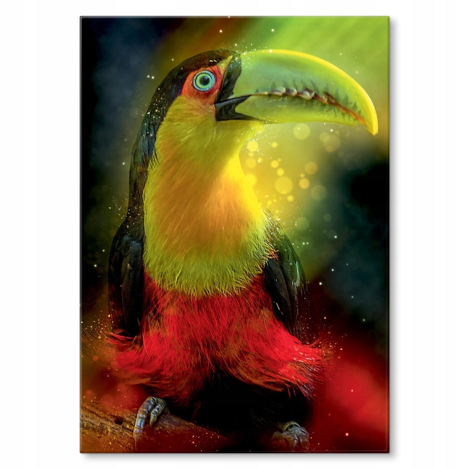 Kovový plakát Barevný tukan Dárek 30 x 42 cm