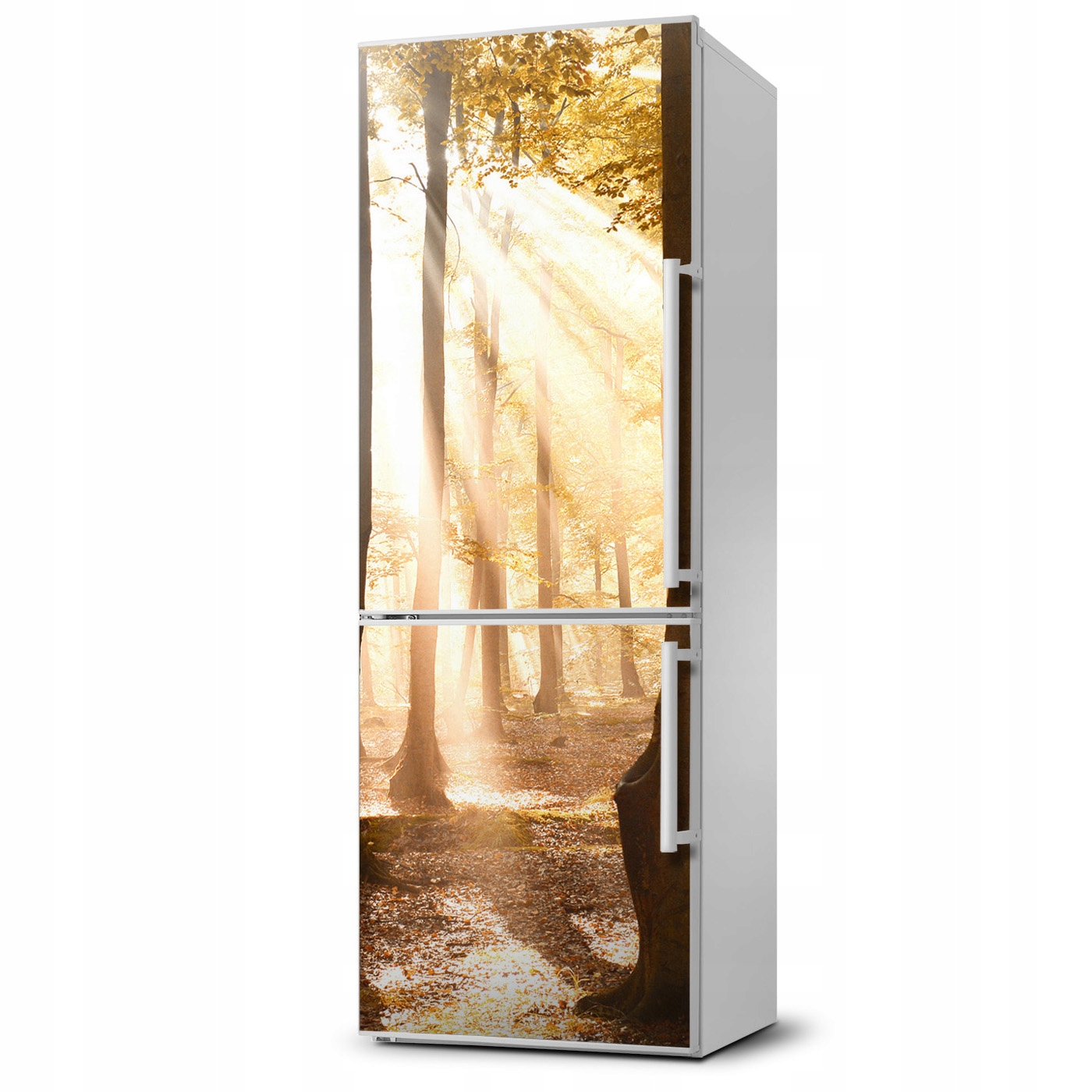 

Magnes na lodówkę magnetyczna Las jesienią 60x180