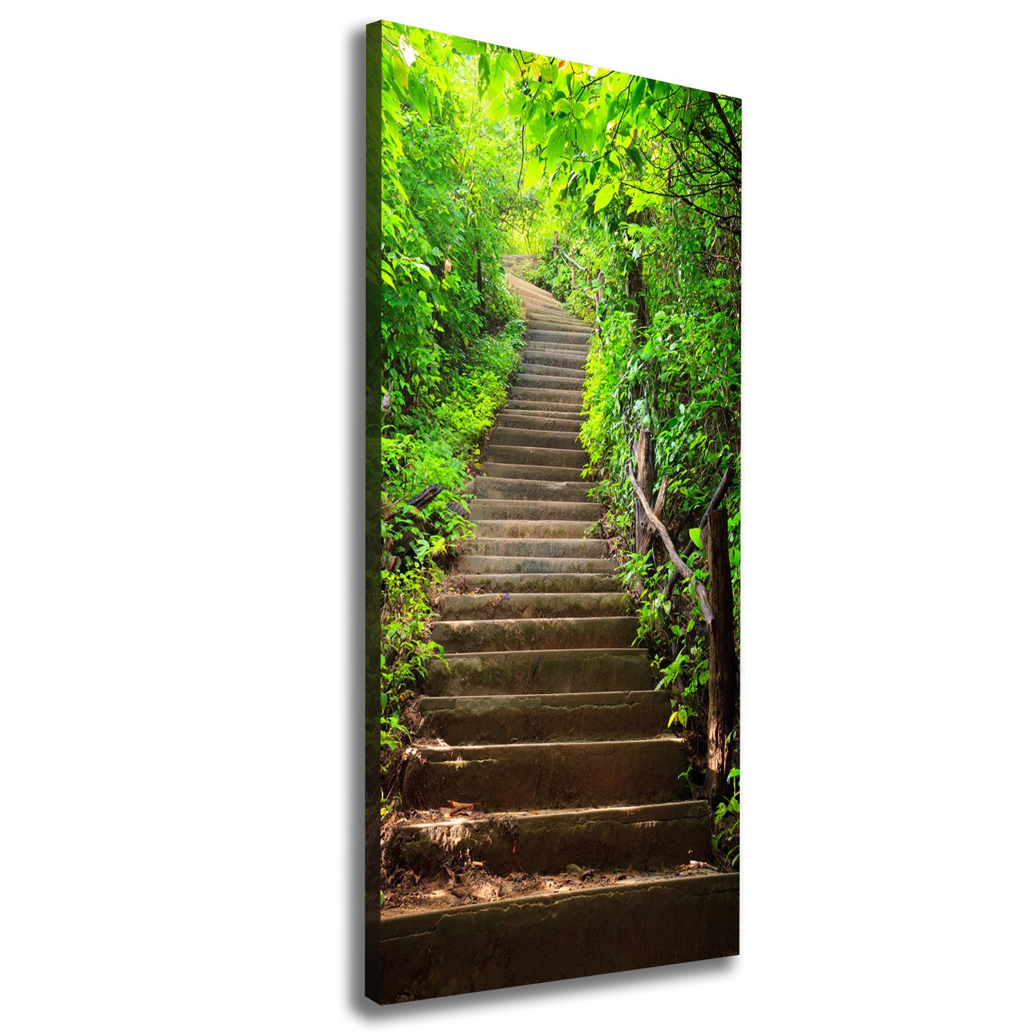 

Foto obraz na płótnie Schody do lasu 50x125 cm