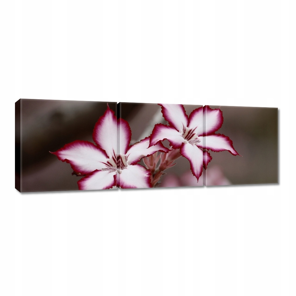 

Obrazy 60x20 Dzień Kobiet Prezent Love