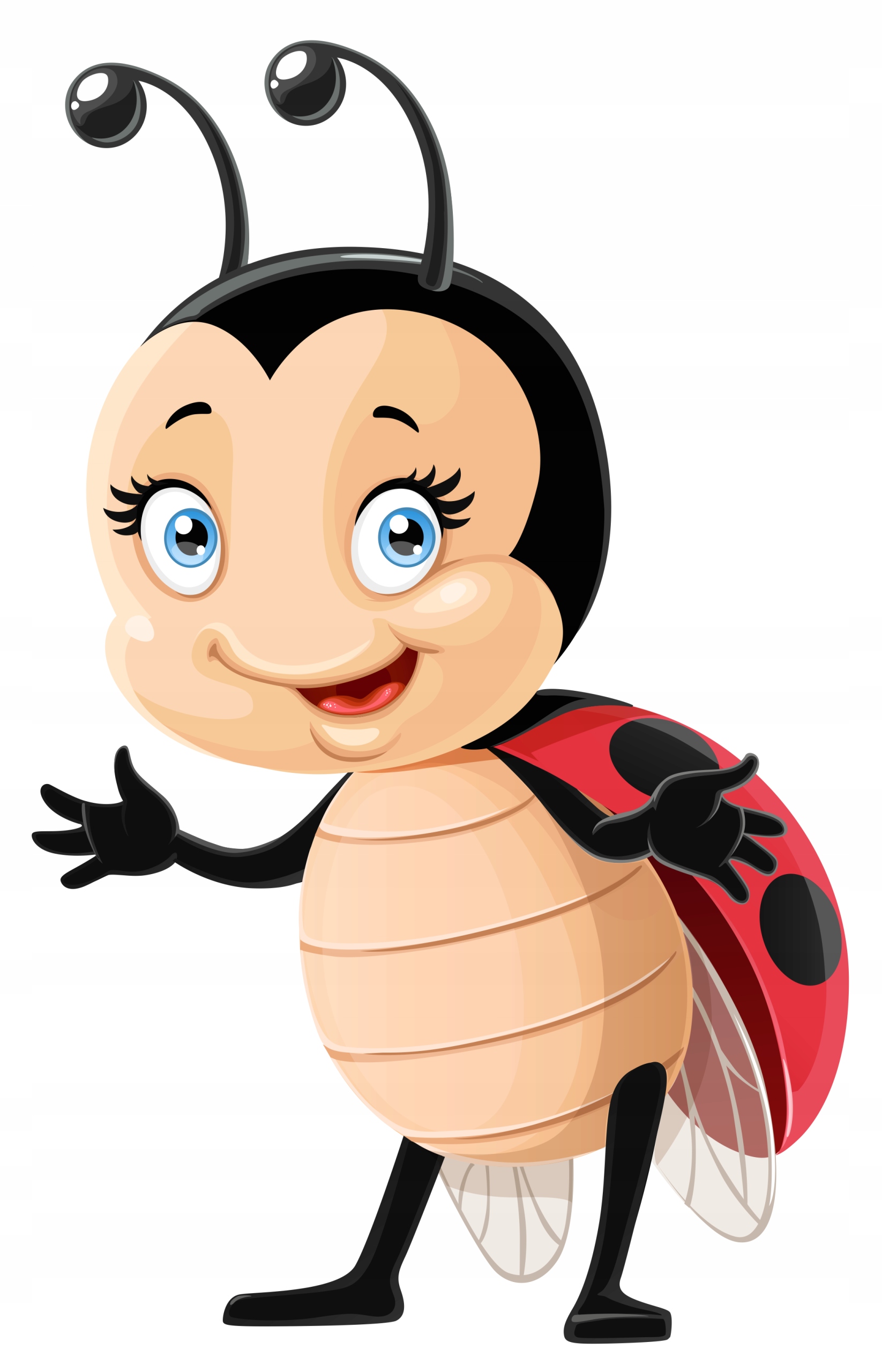 

Naklejka Na Okno Meble Lustro Biedronka