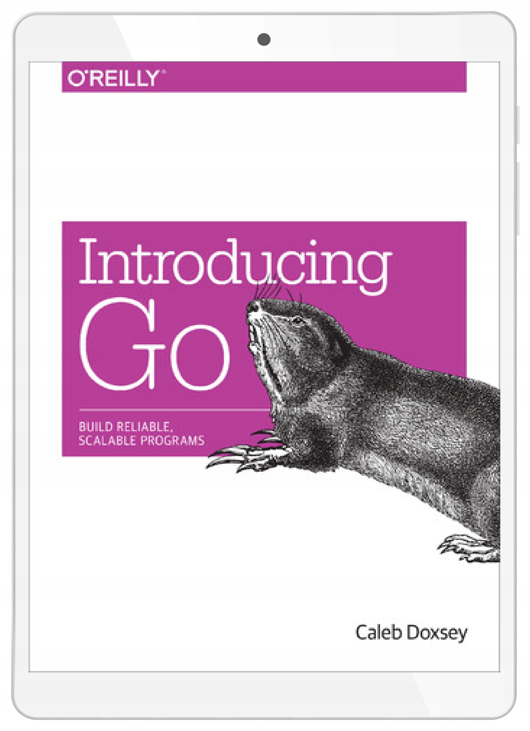 Introducing Go. Build Reliable, Scalable Programs