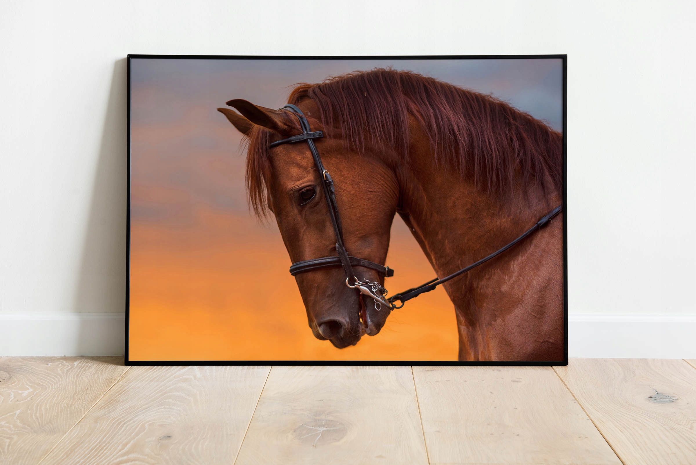 Plakat r A3 42x30 cm Konie Zwierzęta Natura Stan opakowania oryginalne