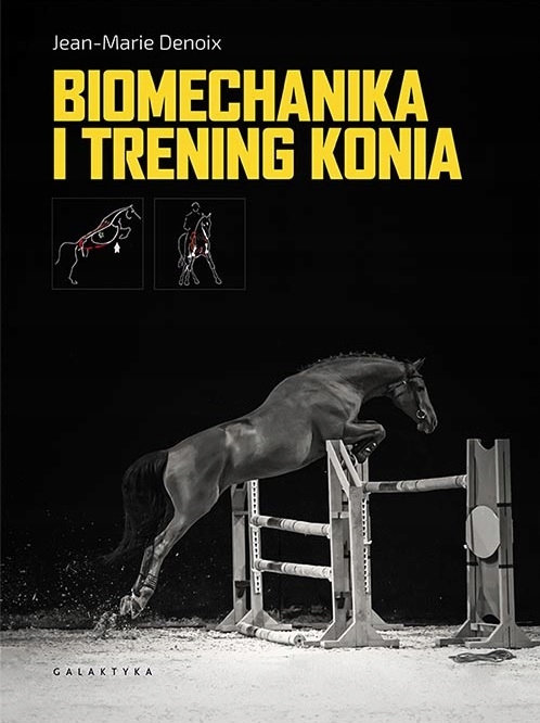 

Biomechanika I Trening Konia