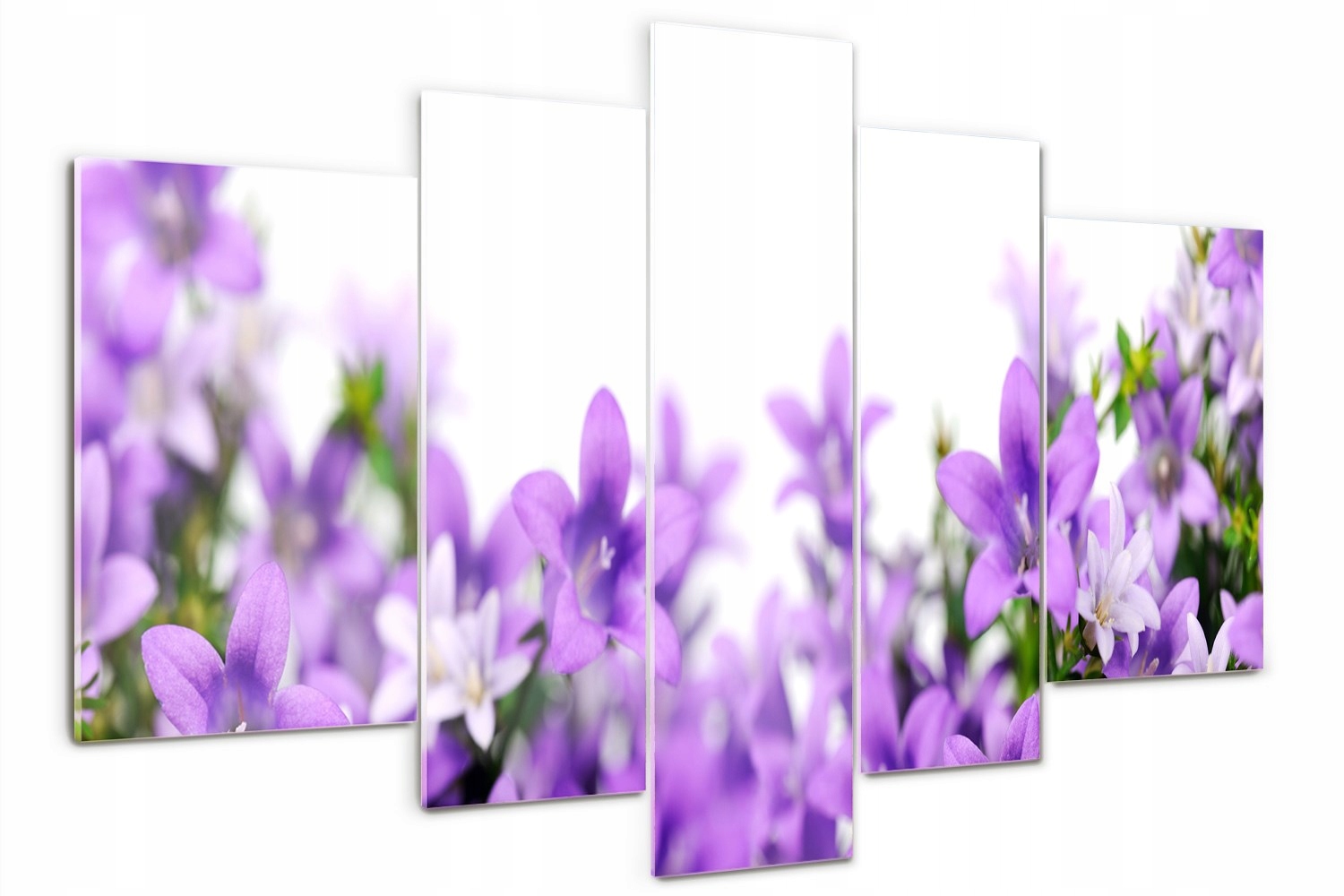 

Foto Obraz szklany tryptyk Fioletowe dzwonki