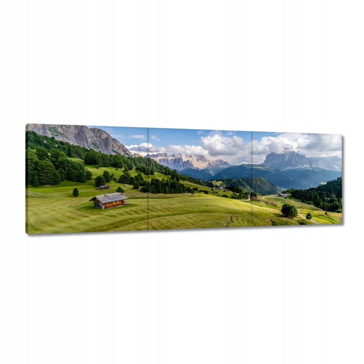 Obrazy 150x50 Ovečky na horské louce