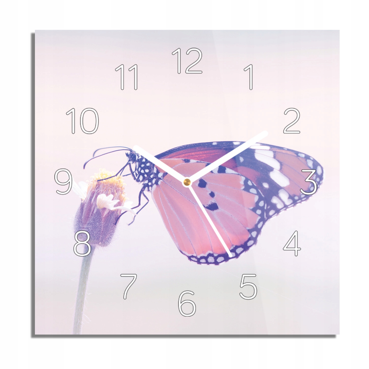 

Motyl owad kwiat foto-zegar cichy 30x30 do kuchni