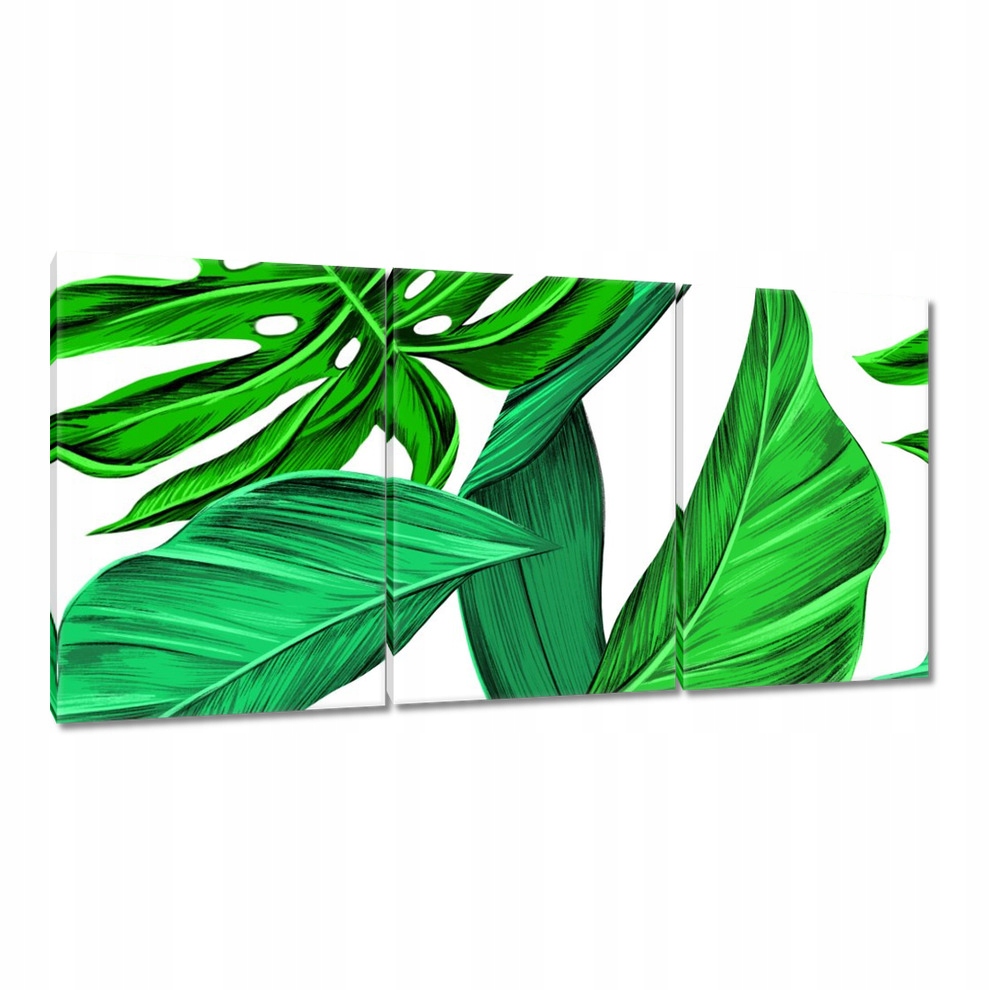 

Obrazy 120x60 Soczysta Monstera Tropiki
