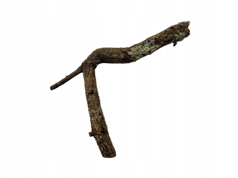 Korkové větve pro terária 100-120 cm