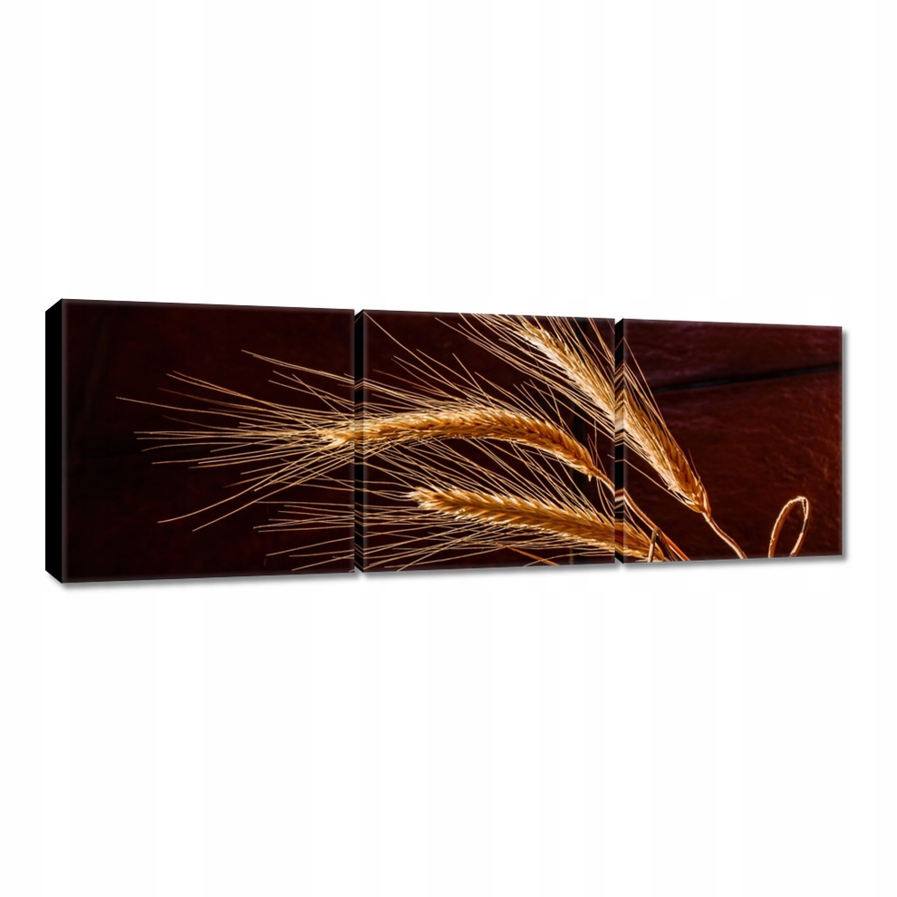 

Obrazy 60x20 Pełne kłosy