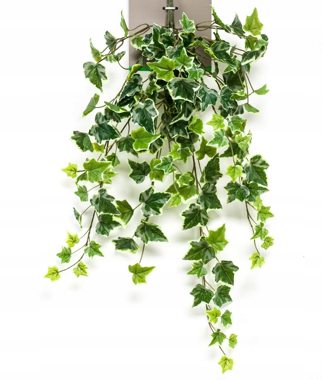 

zielono-biały sztuczny Bluszcz pnącze 70 cm Hedera