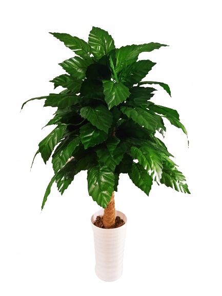 

Sztuczne Drzewko Dracena Kwiaty w doniczce 70cm