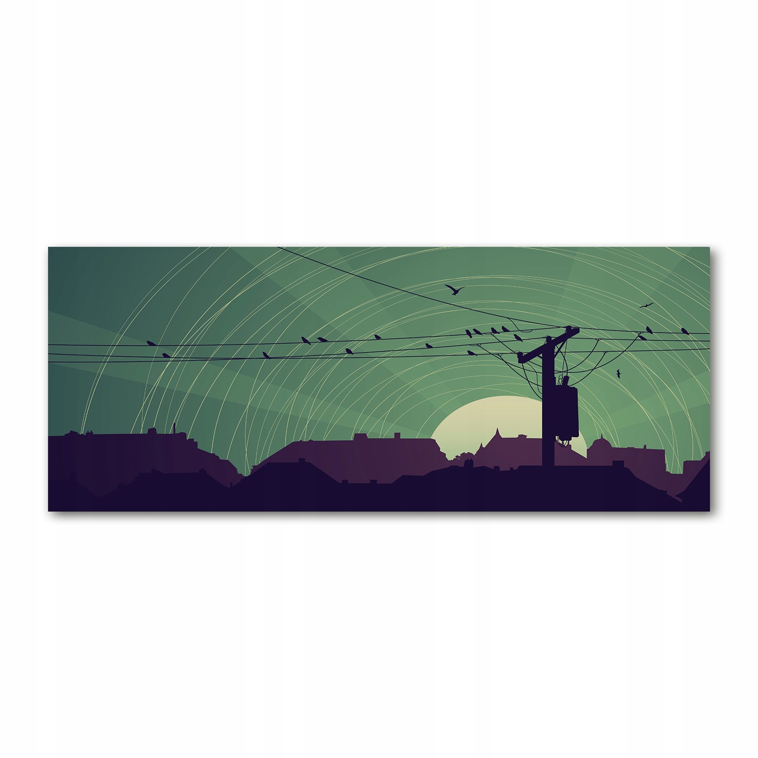 

Foto obraz akryl zdjęcie Ptaki miasto 125x50 cm