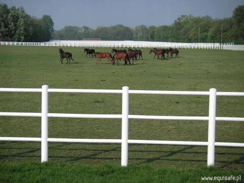 Elektrinė tvora arkliams Equisafe, 3 juostos, 1,4 m