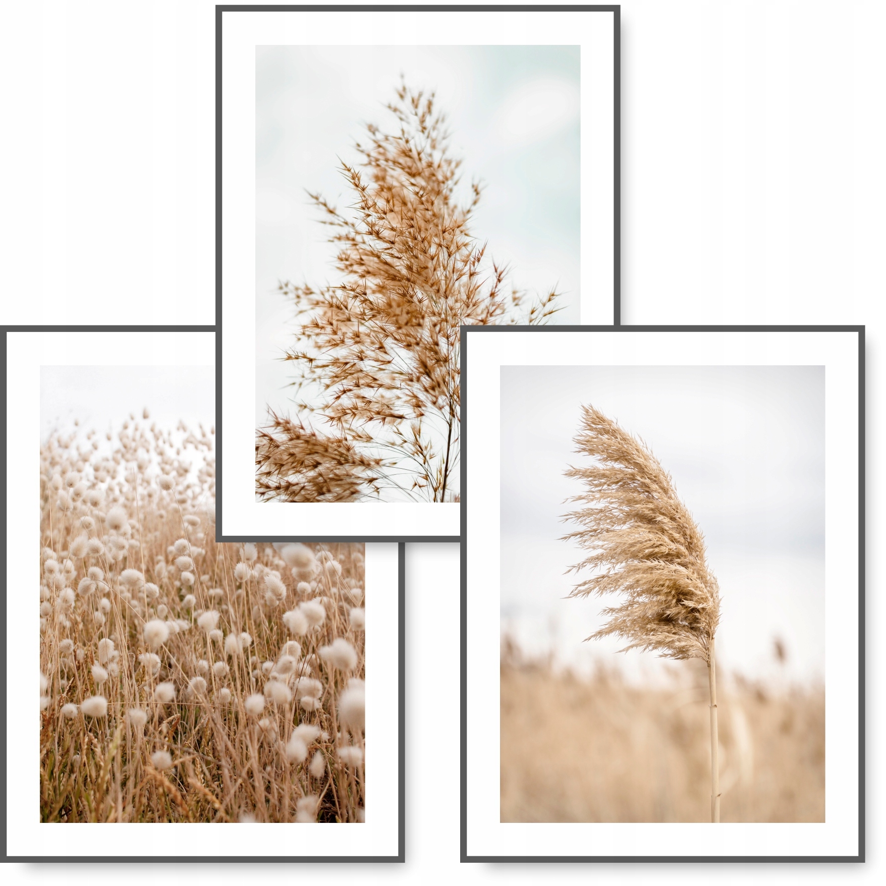 BOHO zestaw 3 obrazy 30x40 NATURA BRĄZ plakat #11