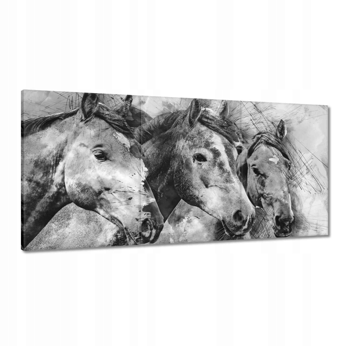 Obrazy 120x60 Koně Kůň Koně Hlavy