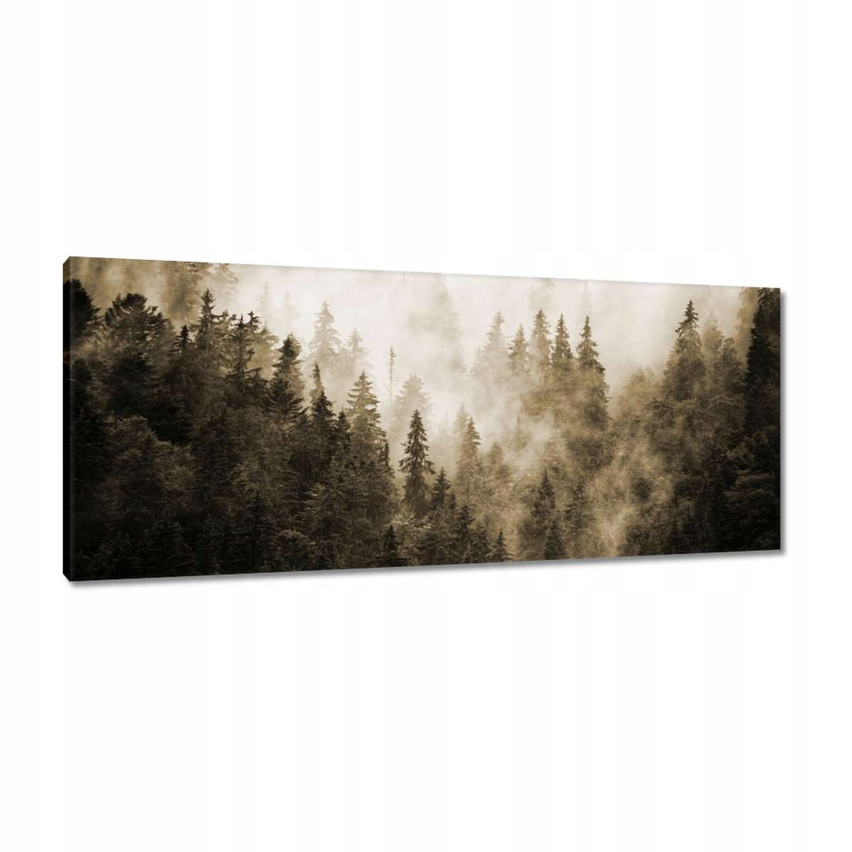 Obrazy 100x40 Krajina Sépie Hory Mlha