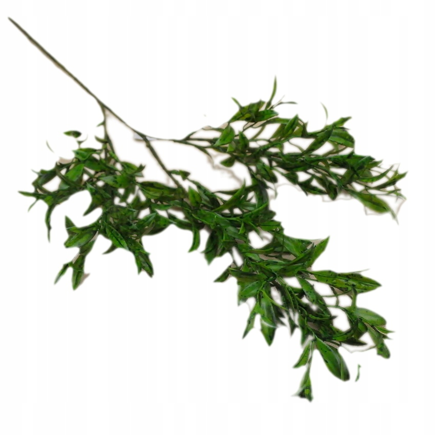 

Ruskus sztuczna gałązka dodatek 70 cm