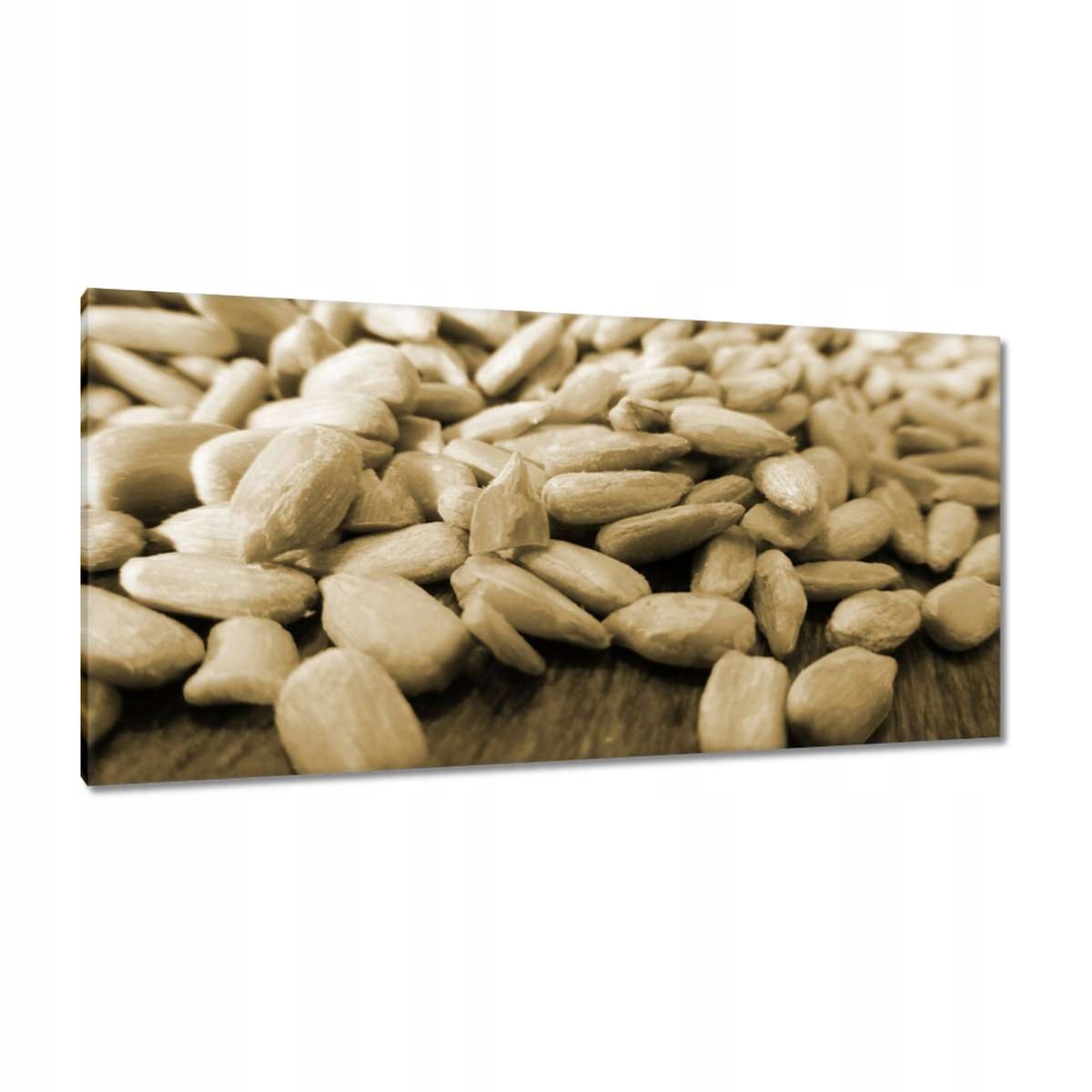 Obrazy 115x55 Slunečnicová semínka loupaná