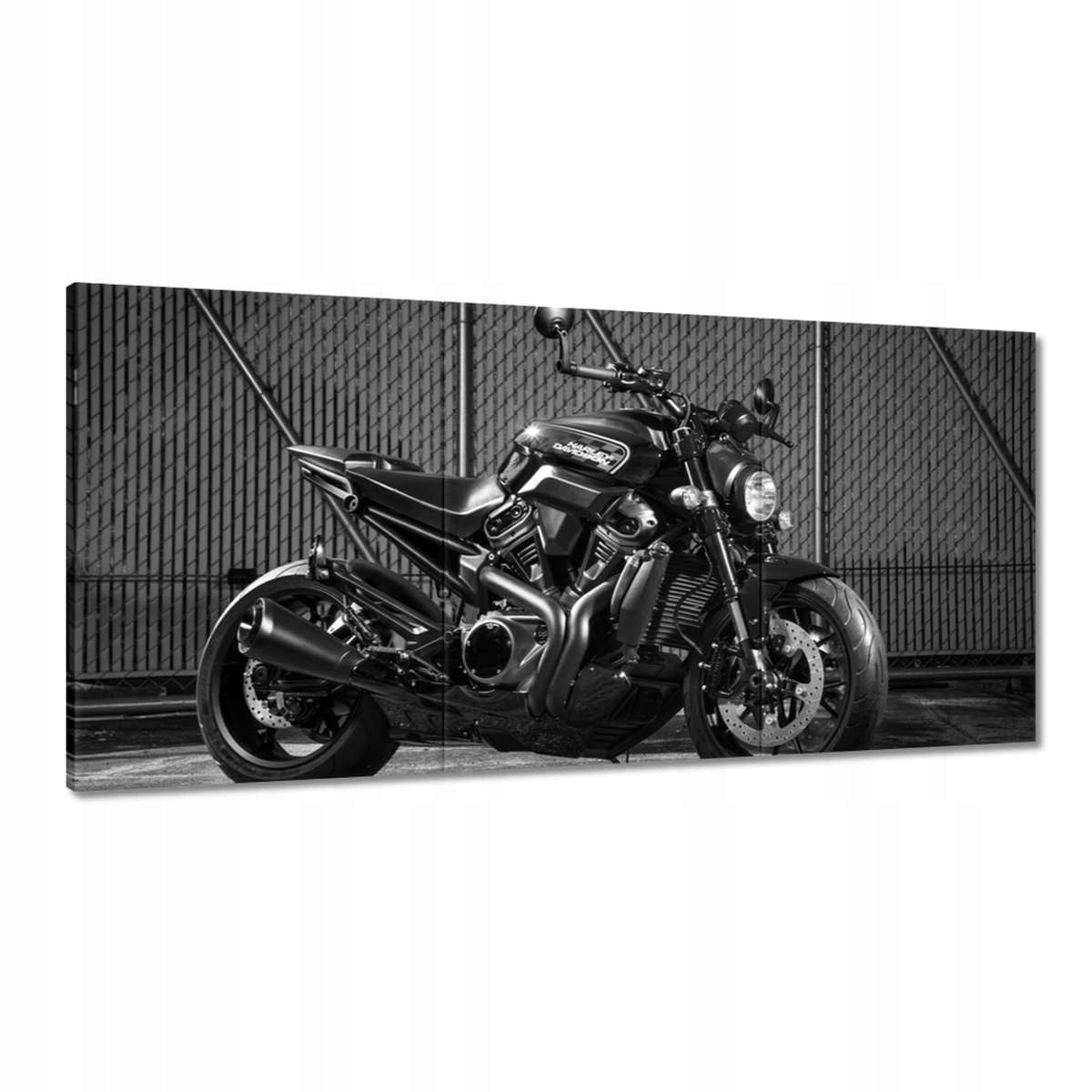 Obrazy 180x90 Harley Davidson Motocykel