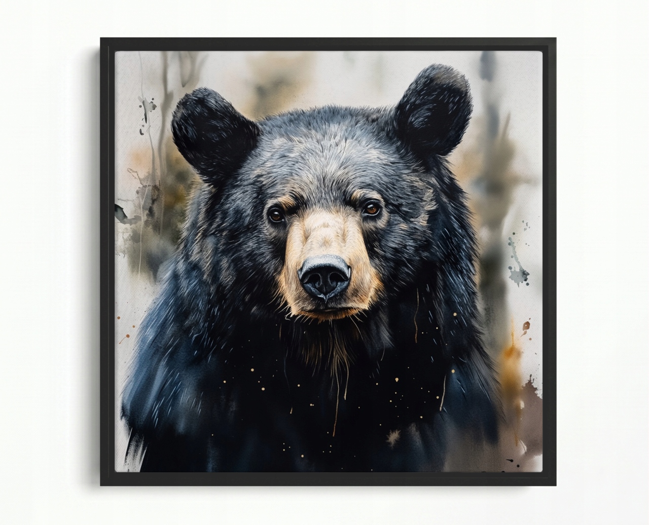 Obraz Rám Americký Box Portrét Zvířete Medvěd Baribal Medvídek Fauna 50x50