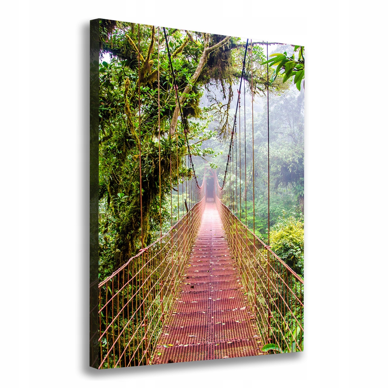 

Foto obraz canvas do salonu Most wiszący 70x100