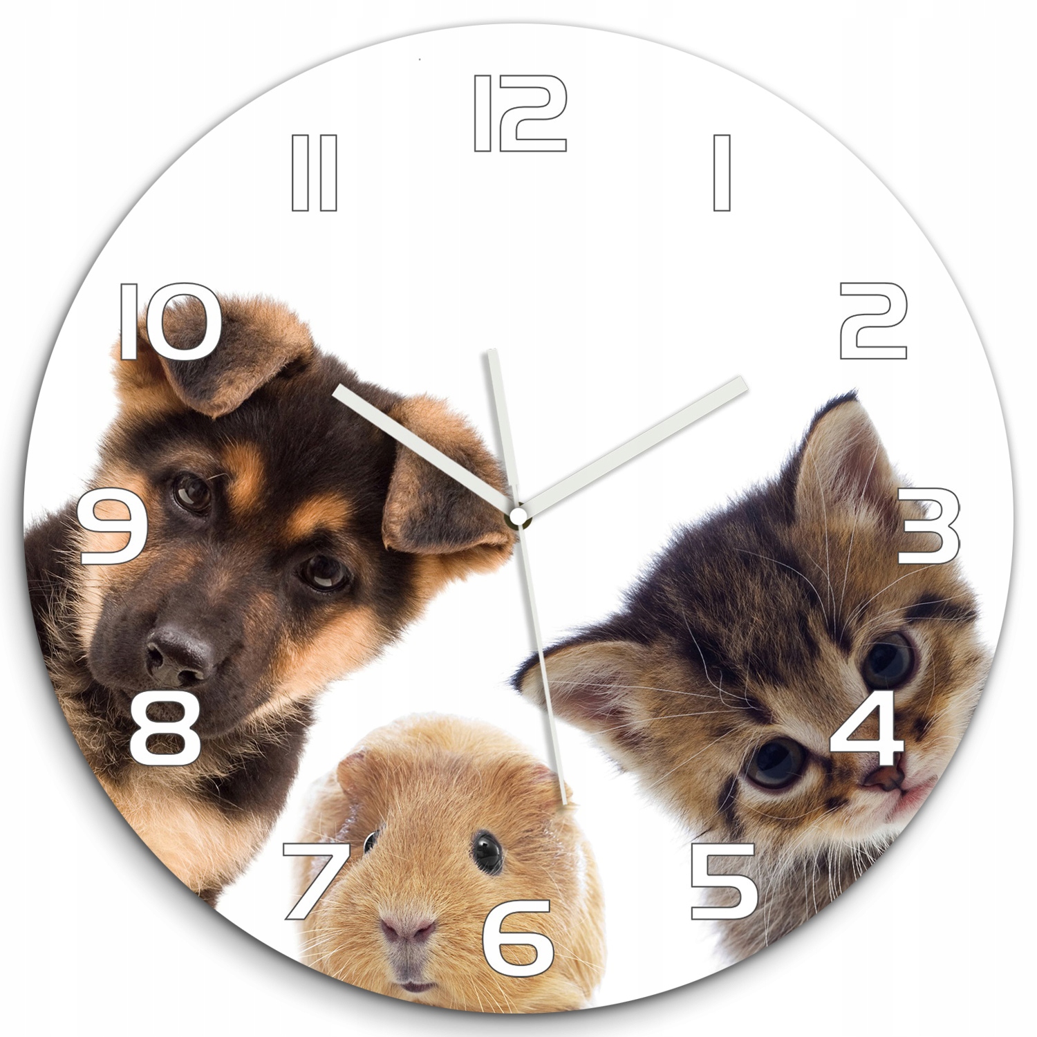 

Duży szklany zegar ścienny Zwierzęta domowe fi 60