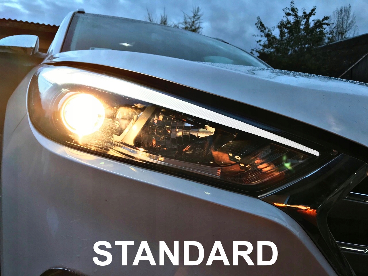 ŻARÓWKI PHILIPS H7 DIAMOND VISION BIAŁE 5000K 12V 55W XENON EFFECT KOMPLET Rodzaj Tradycyjne / halogenowe