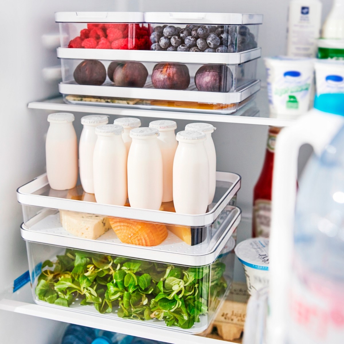 Organizer Pojemnik na żywność przezroczysty do lodówki Rotho Cauma 4,65 l Kolor biały przezroczysty