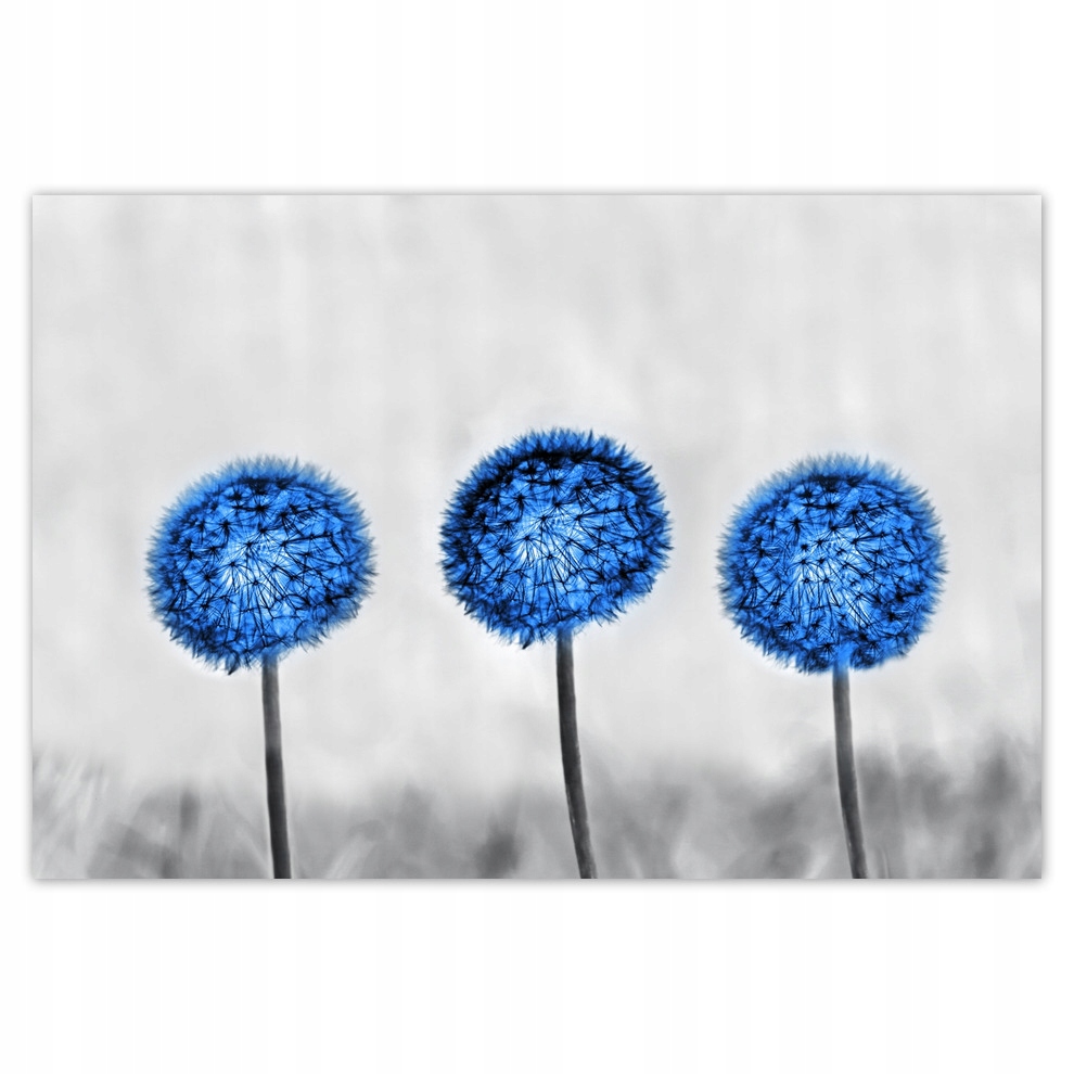 

Naklejki 185x125 Niebieskie dmuchawce