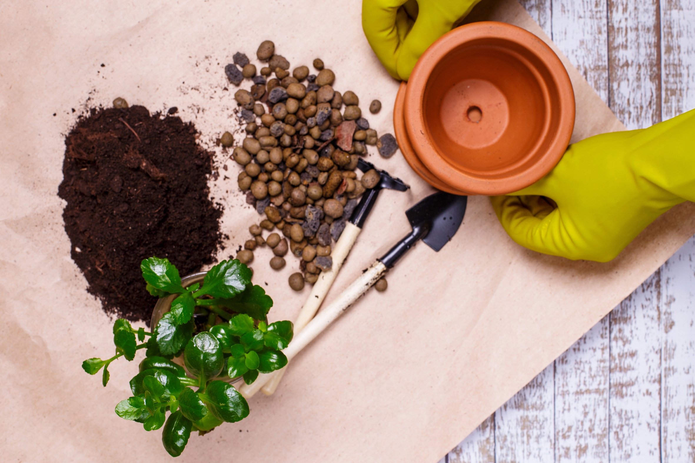 Keramzyt 5 l Marka Target