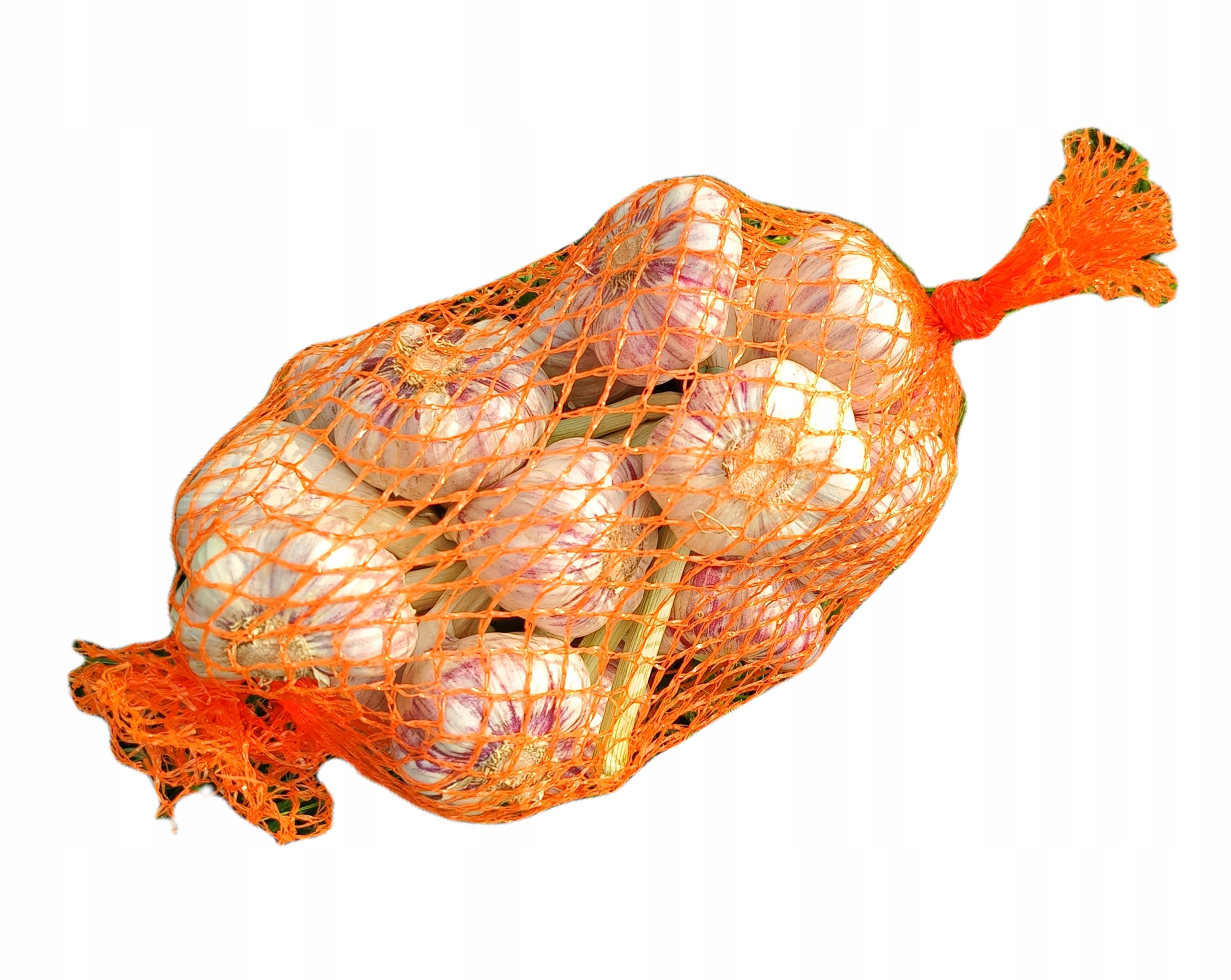 CZOSNEK ŚWIEŻY 2025 HARNAŚ ARKUS POLSKA 500G