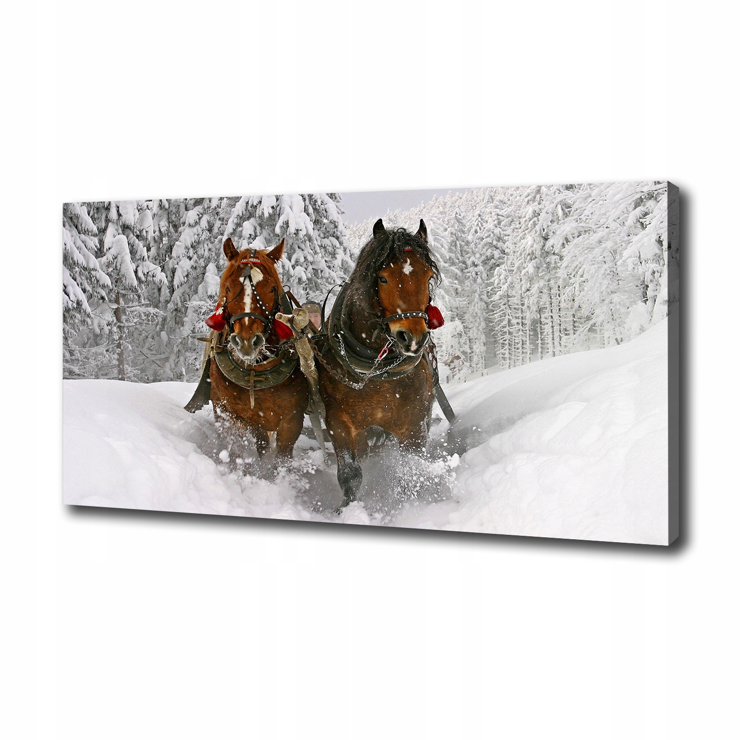 

Foto obraz ze zdjęcia do salonu Kulig 100x50 cm