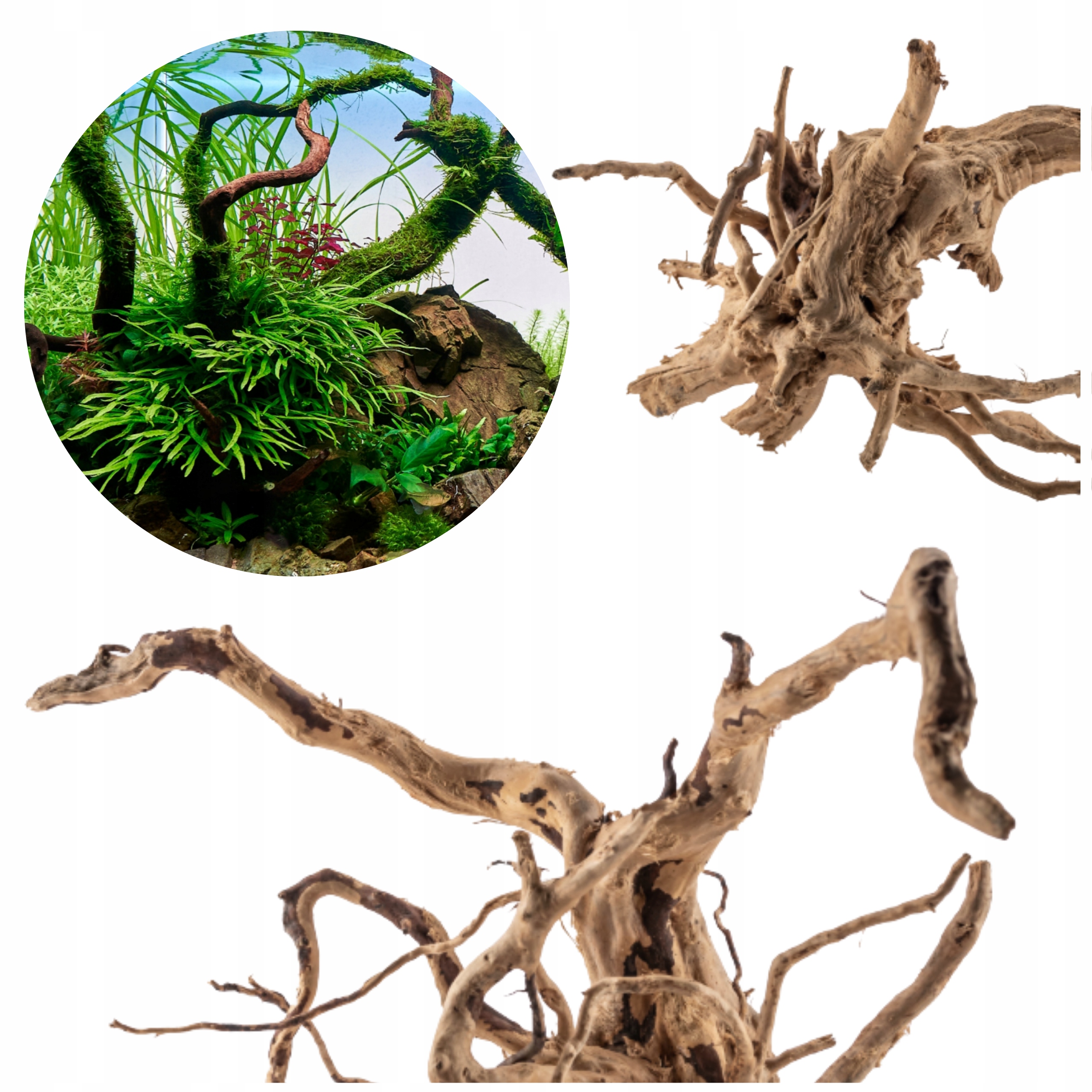 Kořen Red Moor L 40-50cm – Přírodní dekorace do akvária