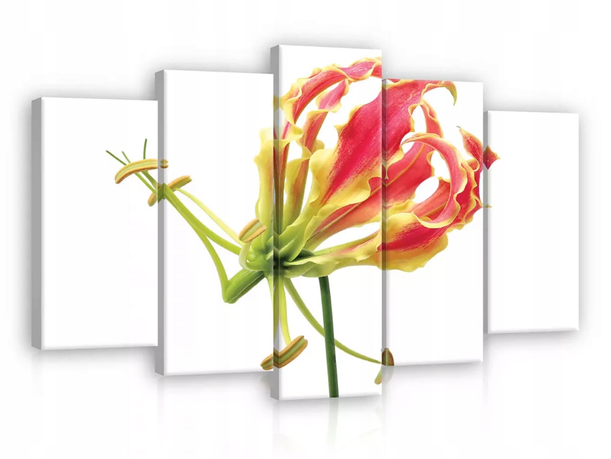 Obraz Na Plátně Canvas 100x60 Květ Glorioza