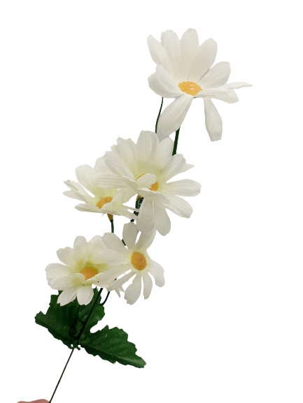 

Margaretka gałązka dodatek do bukietu na piku 47cm
