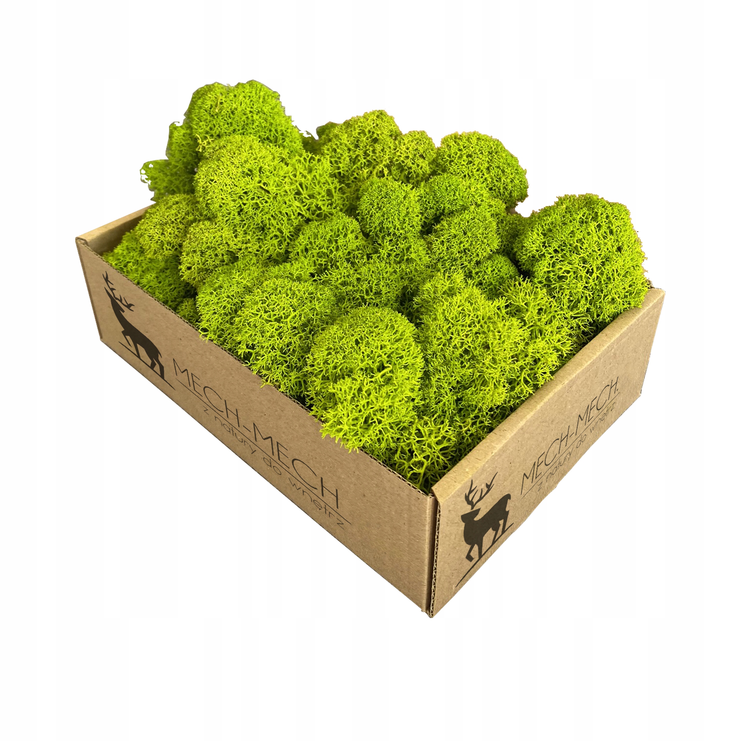 

Mech chrobotek Fiński 100g Premium Oczyszczony