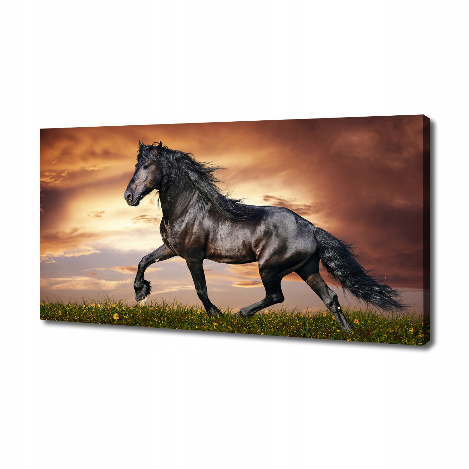 

Foto obraz na płótnie Kłusujący koń 140x70 cm