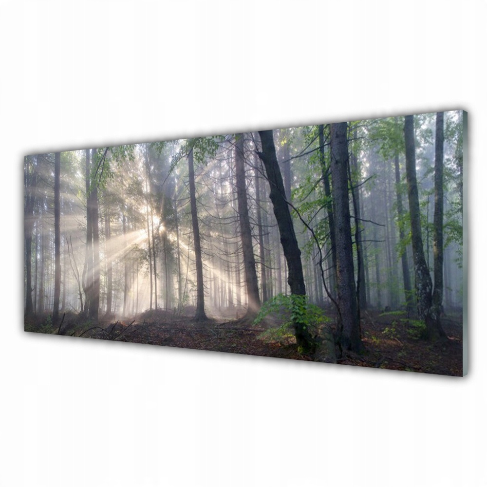 

Fotoobraz akryl ścienny 125x50 Las Natura Drzewa
