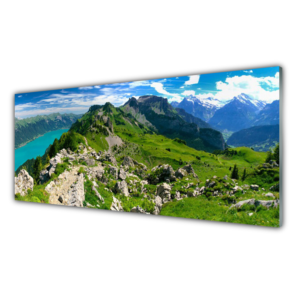 

Obraz na ścianę 125x50 Łąka Góry Krajobraz Natura